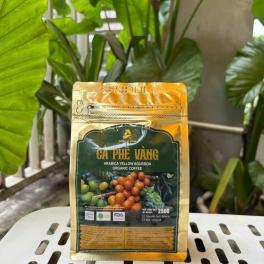 Cà Phê Vàng – Arabica Yellow Catura, Honey