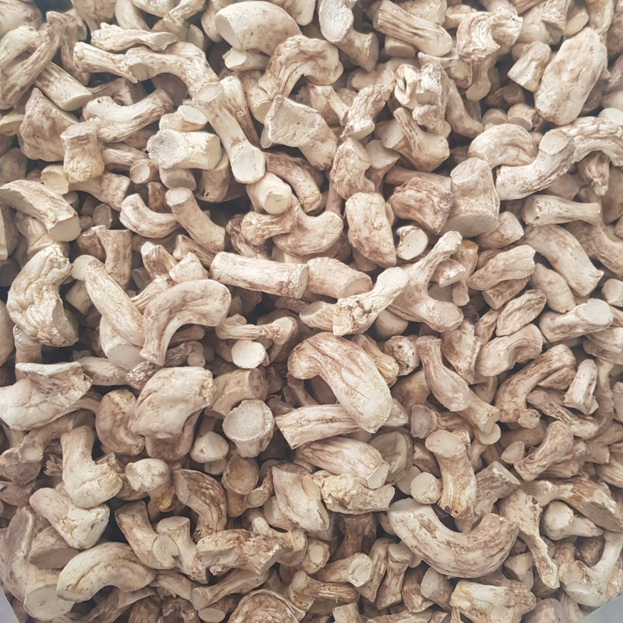 Vietnamesische Shiitake-Pilzstiele (getrocknet)