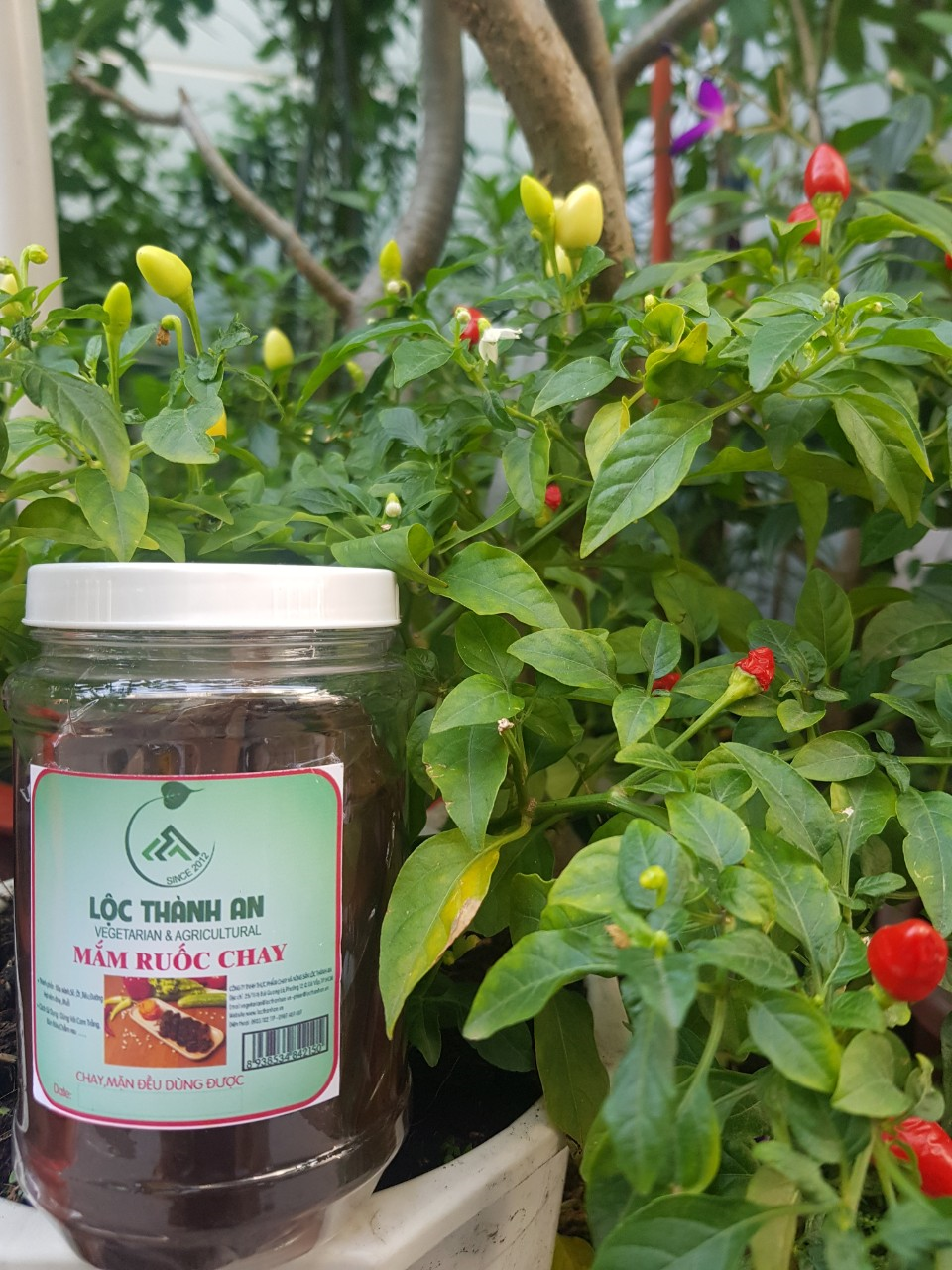 Vegane Garnelenpaste